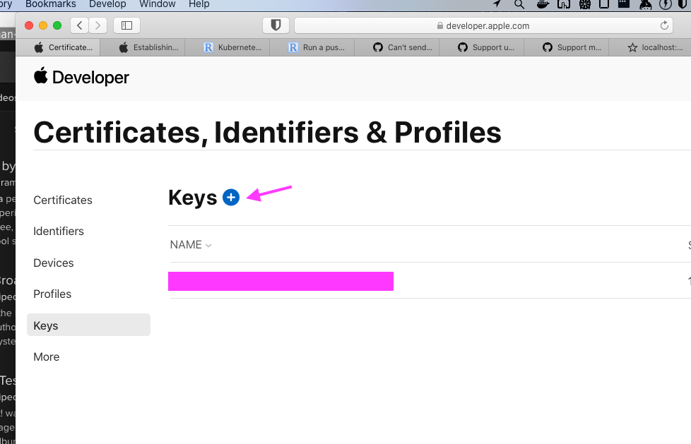 Go to “Keys”, and press the “+” icon